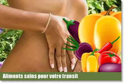 article aliment digestion