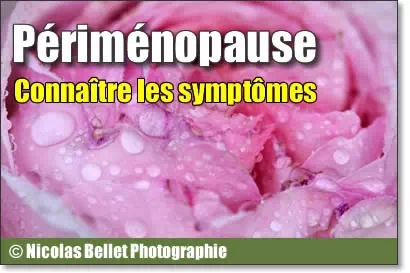article perimenopause